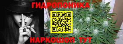гидропоника Кингисепп