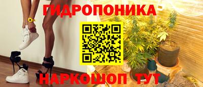гидропоника Кингисепп