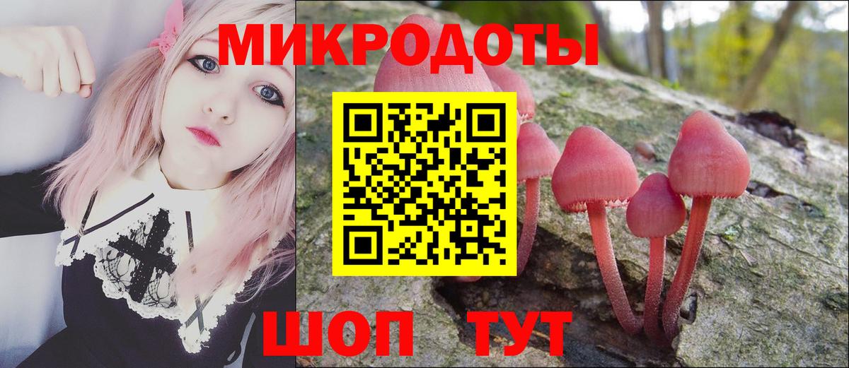Кызыл  Псилоцибиновые грибы Psilocybine cubensis  Вход с VPN 