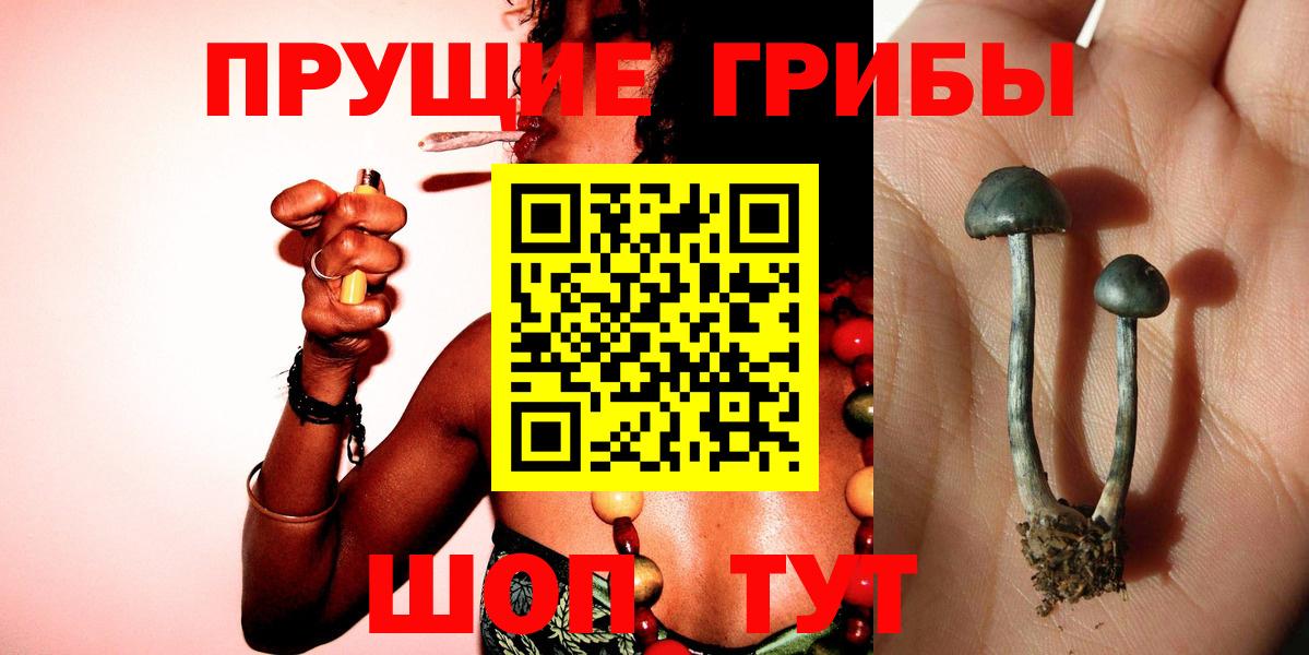 Псилоцибиновые грибы GOLDEN TEACHER Кызыл